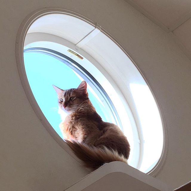 Instagram 写真日記