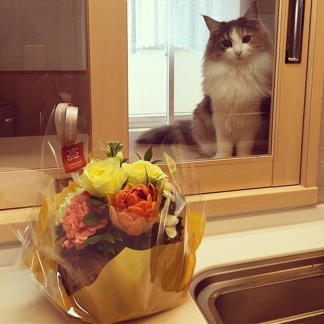 Instagram 写真日記