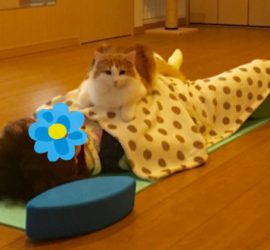 ３MEヨガクラス・シャバアーサナ