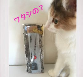 まどねこペンダントとキャラウェイ