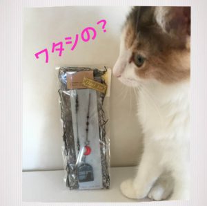 まどねこペンダントとキャラウェイ