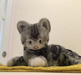 猫ぬいぐるみミュー