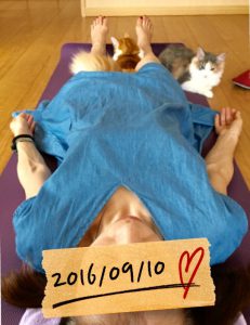 猫のキャラウェイとラフィとお客様