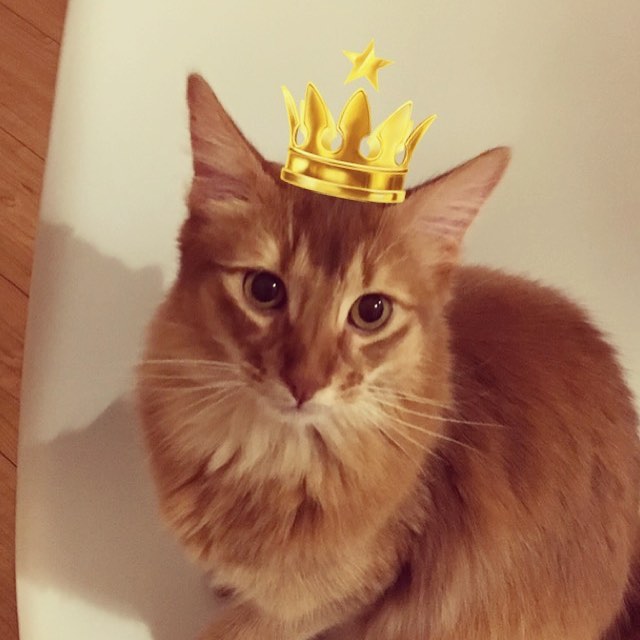 Instagram 写真日記