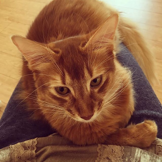 Instagram 写真日記