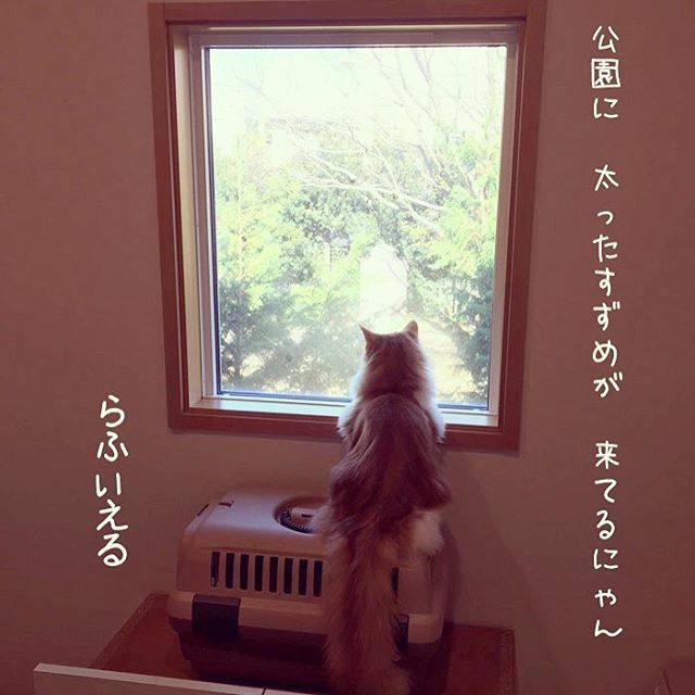 Instagram 写真日記