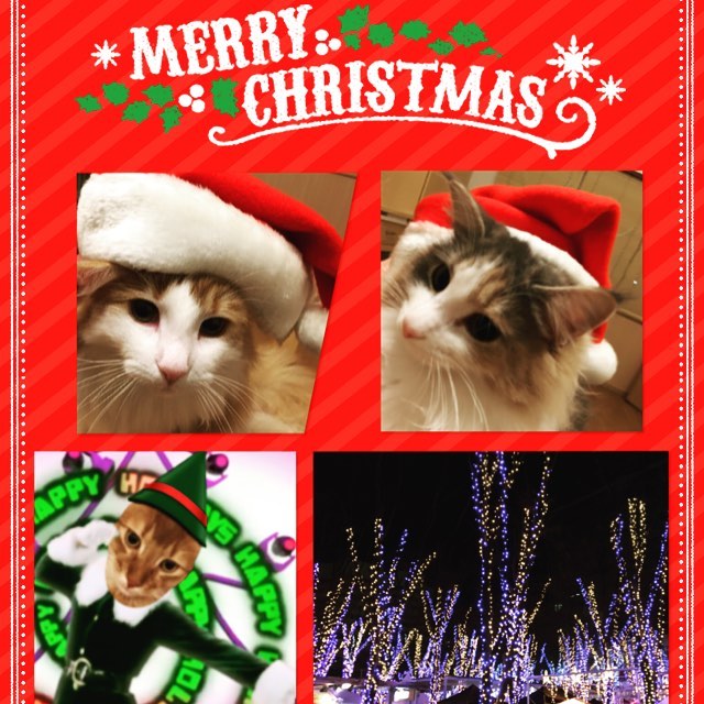 Instagram 写真日記