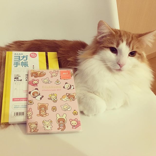 Instagram 写真日記