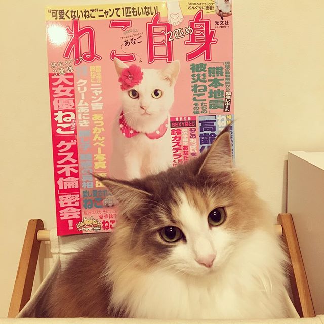 Instagram 写真日記