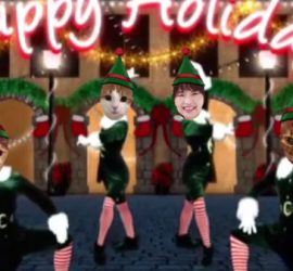 踊る猫の動画Elfspanol