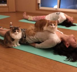 ヨガクラス魚のポーズ