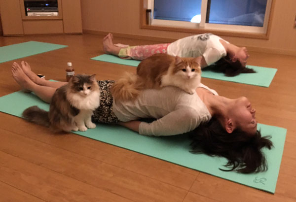 ヨガクラス魚のポーズ