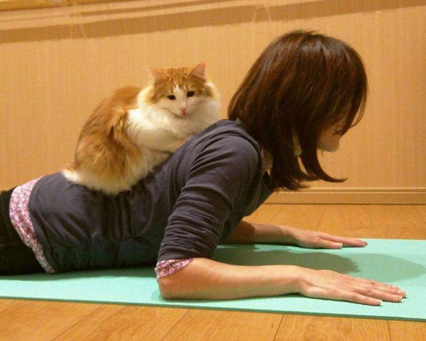 ヨガクラスベビーコブラのポーズ