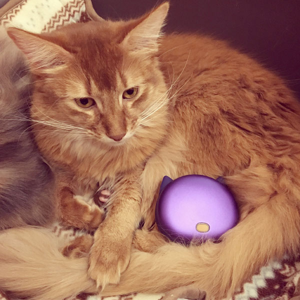 猫型ハンドウォーマーと猫のライト