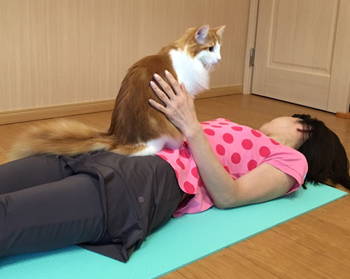 ヨガレッスン中の生徒さんと猫のラフィエル