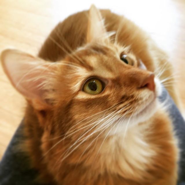 Instagram 写真日記