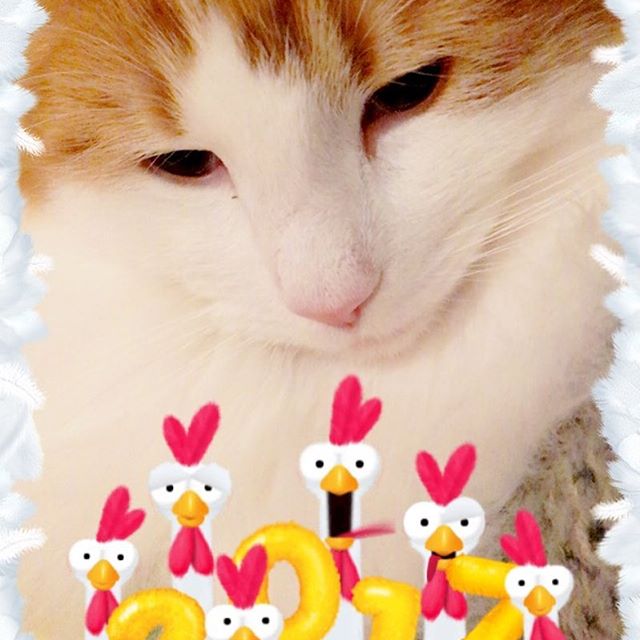 Instagram 写真日記