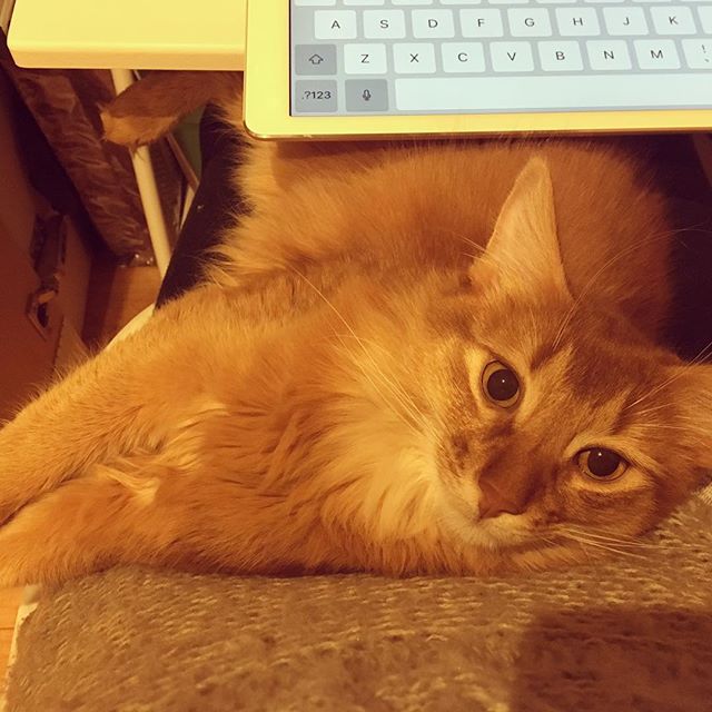 Instagram 写真日記