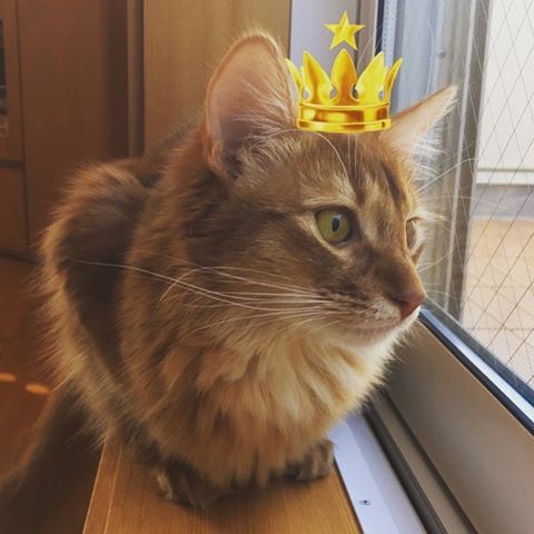 Instagram 写真日記