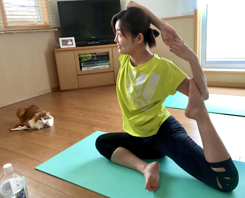 みわちゃんと猫のラフィエル