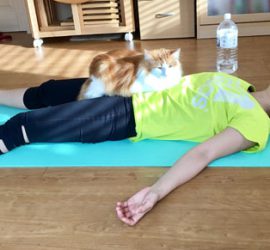 みわちゃんの上に乗る猫のラフィエル