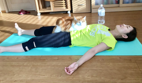 みわちゃんの上に乗る猫のラフィエル