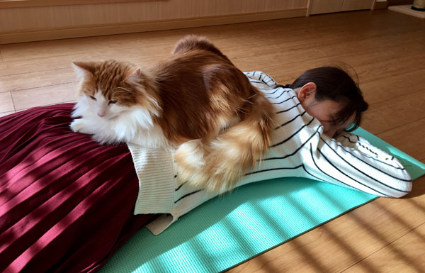 猫のラフィのふみふみマッサージ
