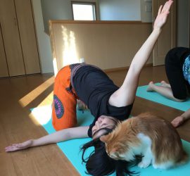 ルナヨガクラス風景1/30-1