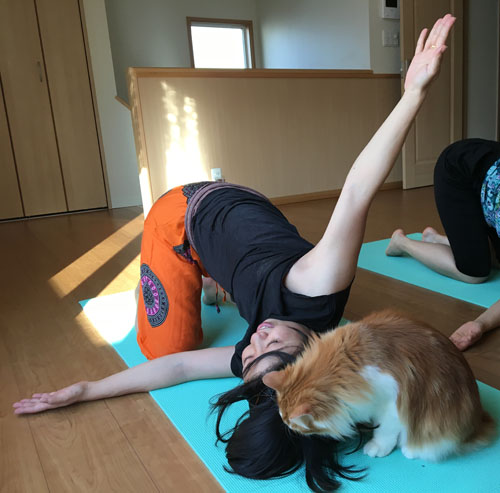 ルナヨガクラス風景1/30-1