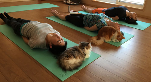 ルナヨガクラス風景1/30-3