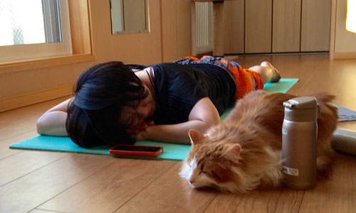 ルナヨガクラス風景1/30-4