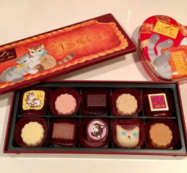 バレンタイン猫チョコ