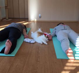 ルナヨガクラス風景