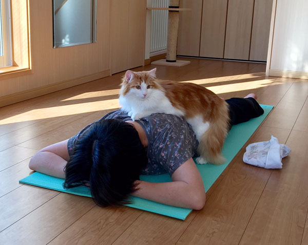 ルナヨガクラス風景