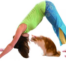 猫とダウンドッグ