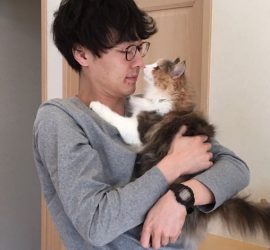 お客さまと猫のキャラウェイ