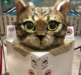 フェルト製猫の頭