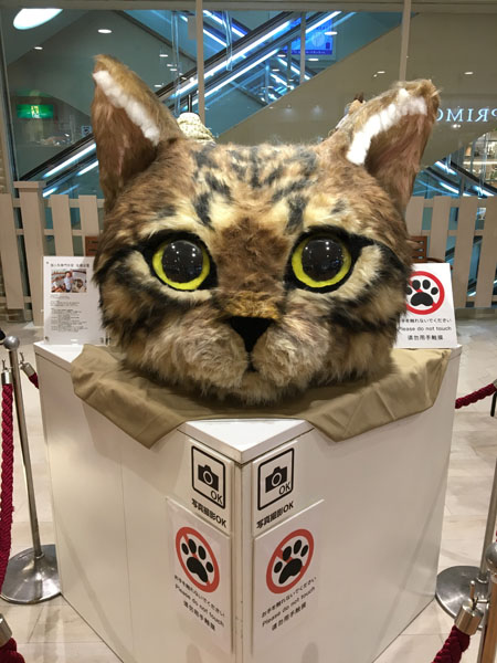 フェルト製猫の頭