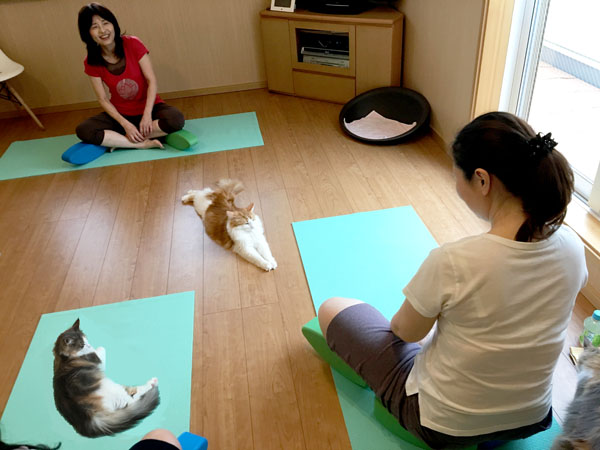 4.22ヨガイベント風景1