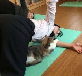 4.22ヨガイベント風景3