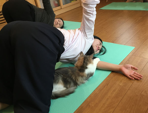 4.22ヨガイベント風景3