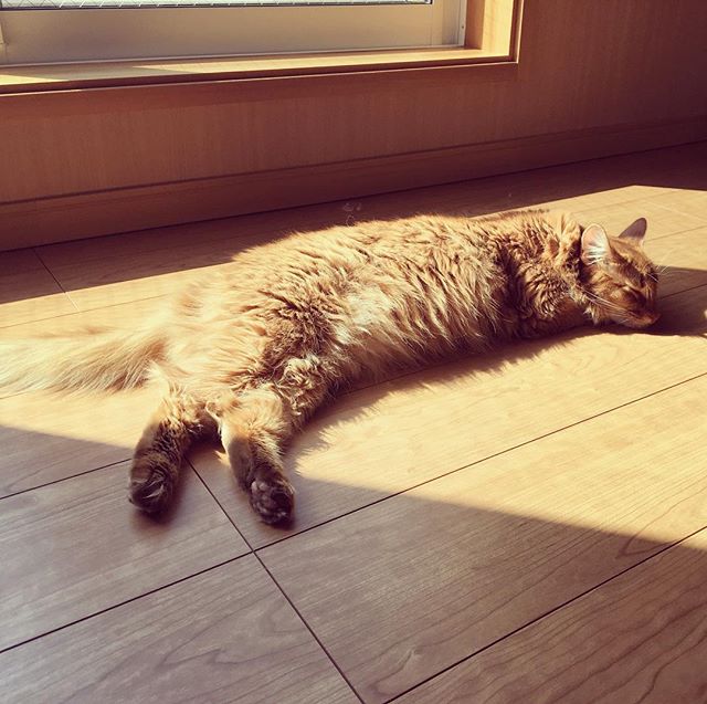 Instagram 写真日記