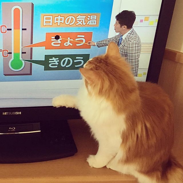 Instagram 写真日記