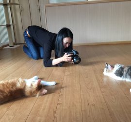 猫の撮影中の小坂さん