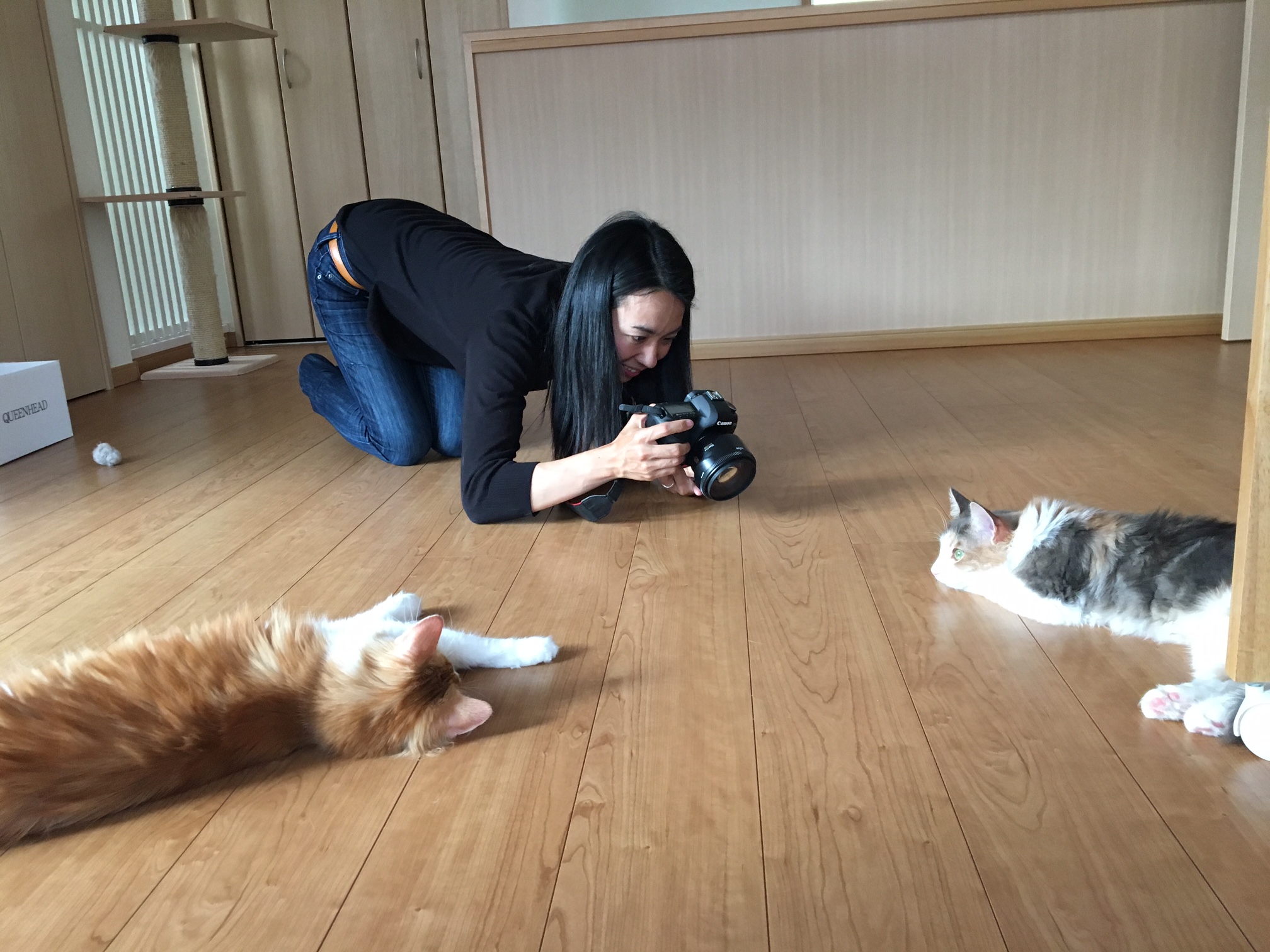 猫の撮影中の小坂さん
