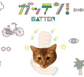 ガッテン！猫のライト