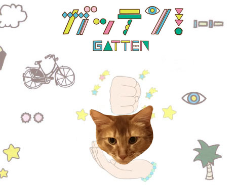 ガッテン！猫のライト