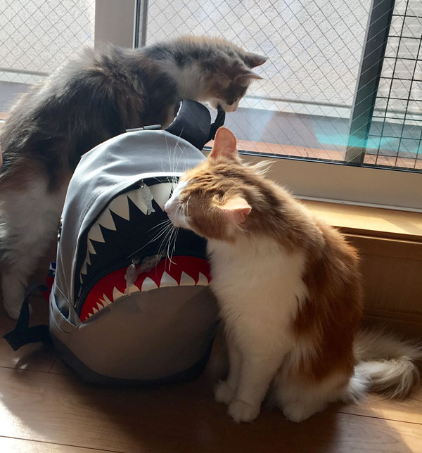 ルナヨガクラス風景