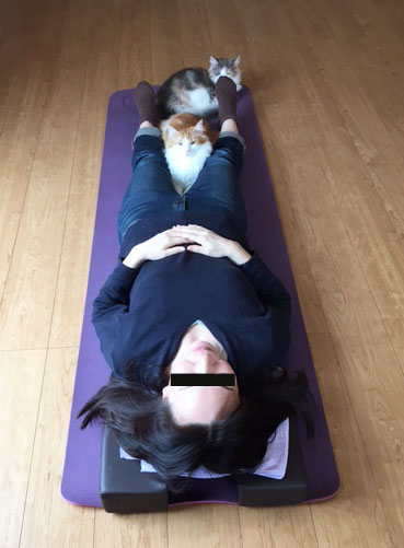 パワージュエル整体の施術風景