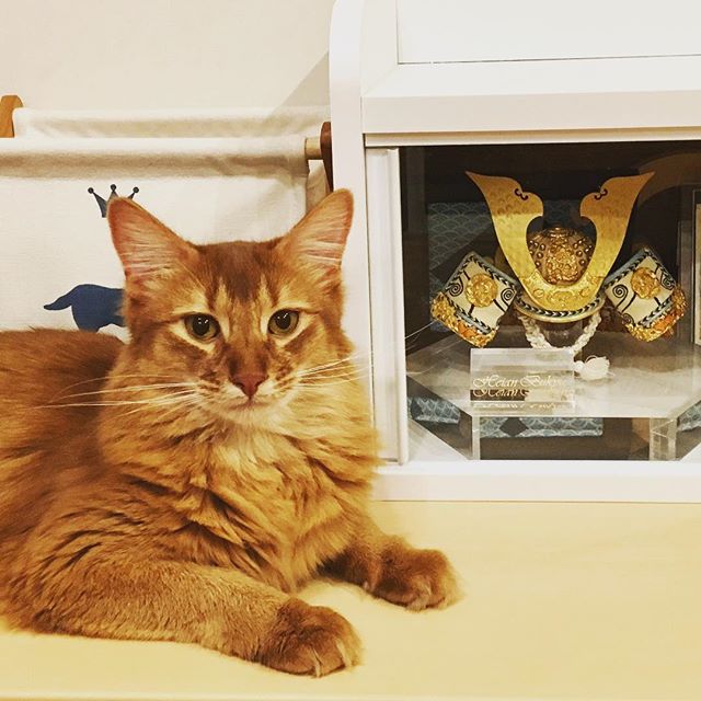 Instagram 写真日記